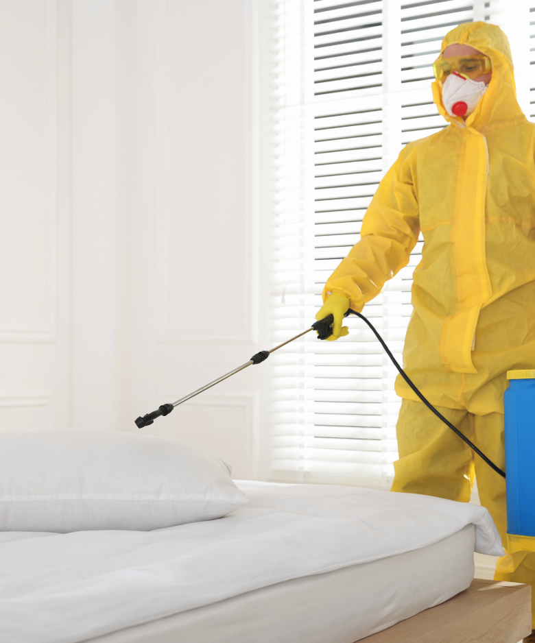 Professional Pest Control Team in Clovelly Park